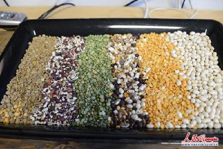 　　這種名為“超越雞蛋”的安全食材主要由從豆類(lèi)植物中提取的蛋白質(zhì)構(gòu)成。