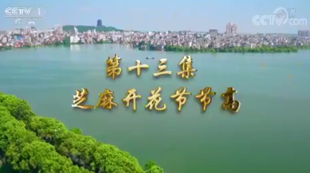 第十三集 芝麻開(kāi)花節(jié)節(jié)高
