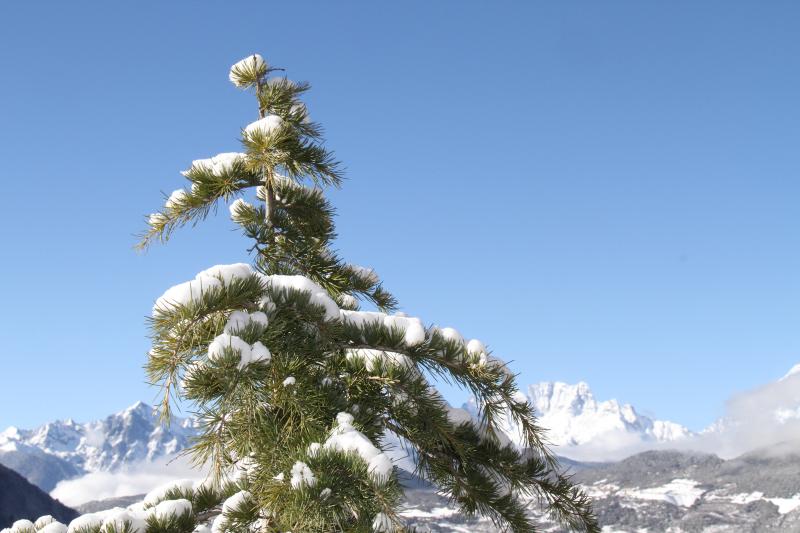 雪后的德欽，隨手一拍就是風(fēng)景