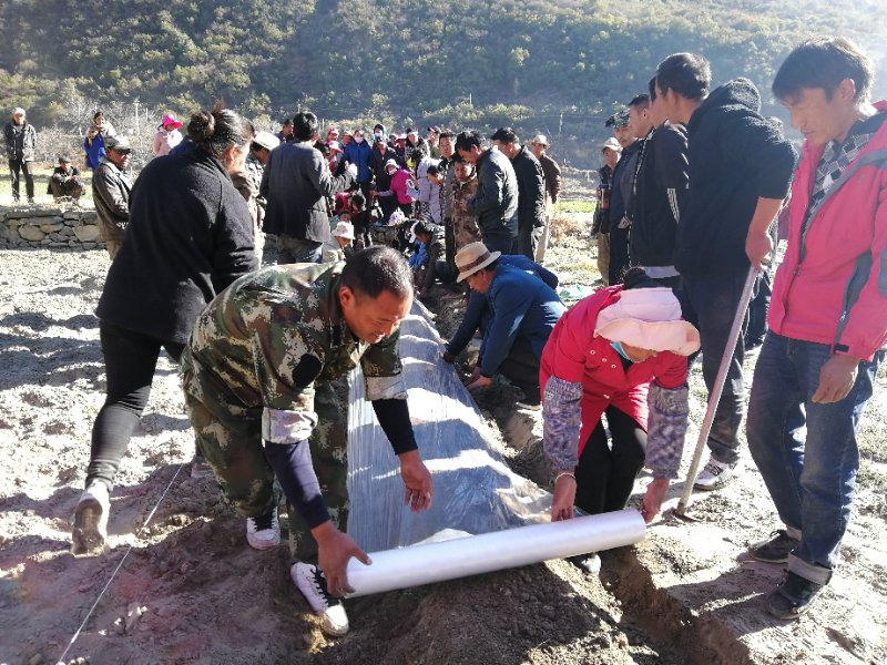 五境鄉(xiāng)科技培訓送到田間地頭