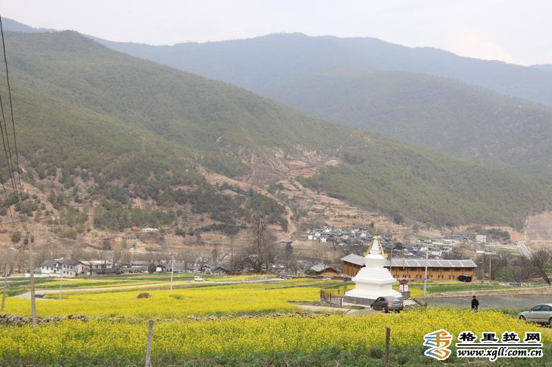 新農村新氣象