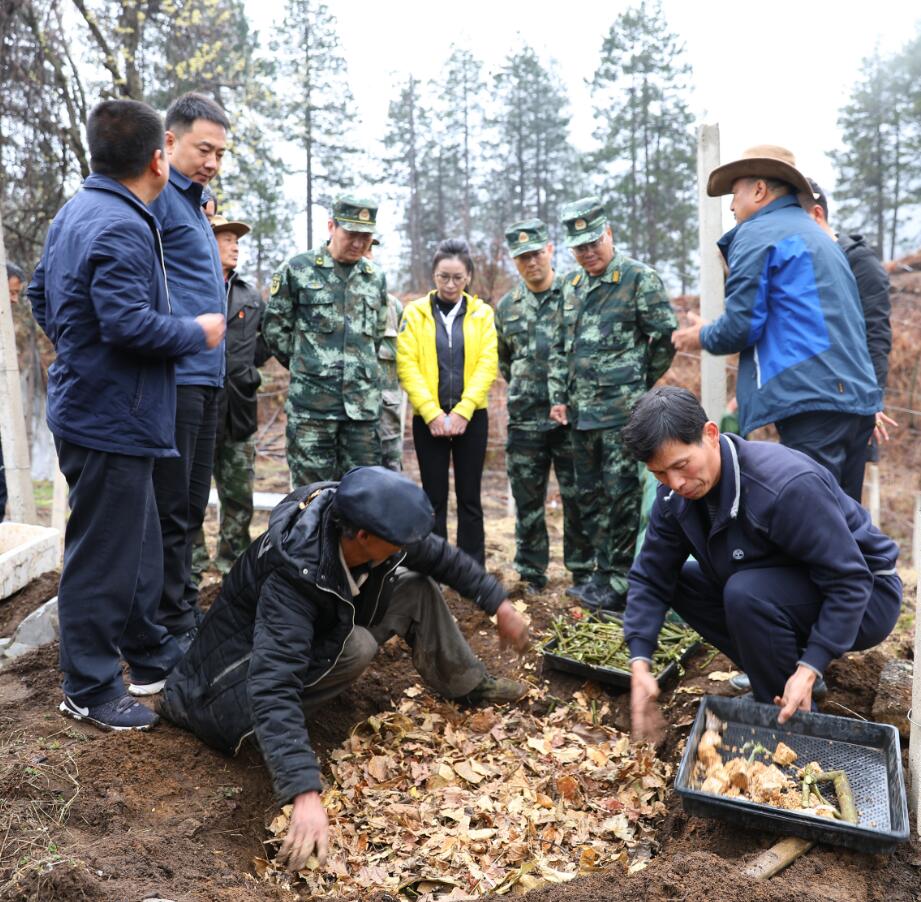 武警上海總隊、云南總隊在維西開展幫扶調(diào)研