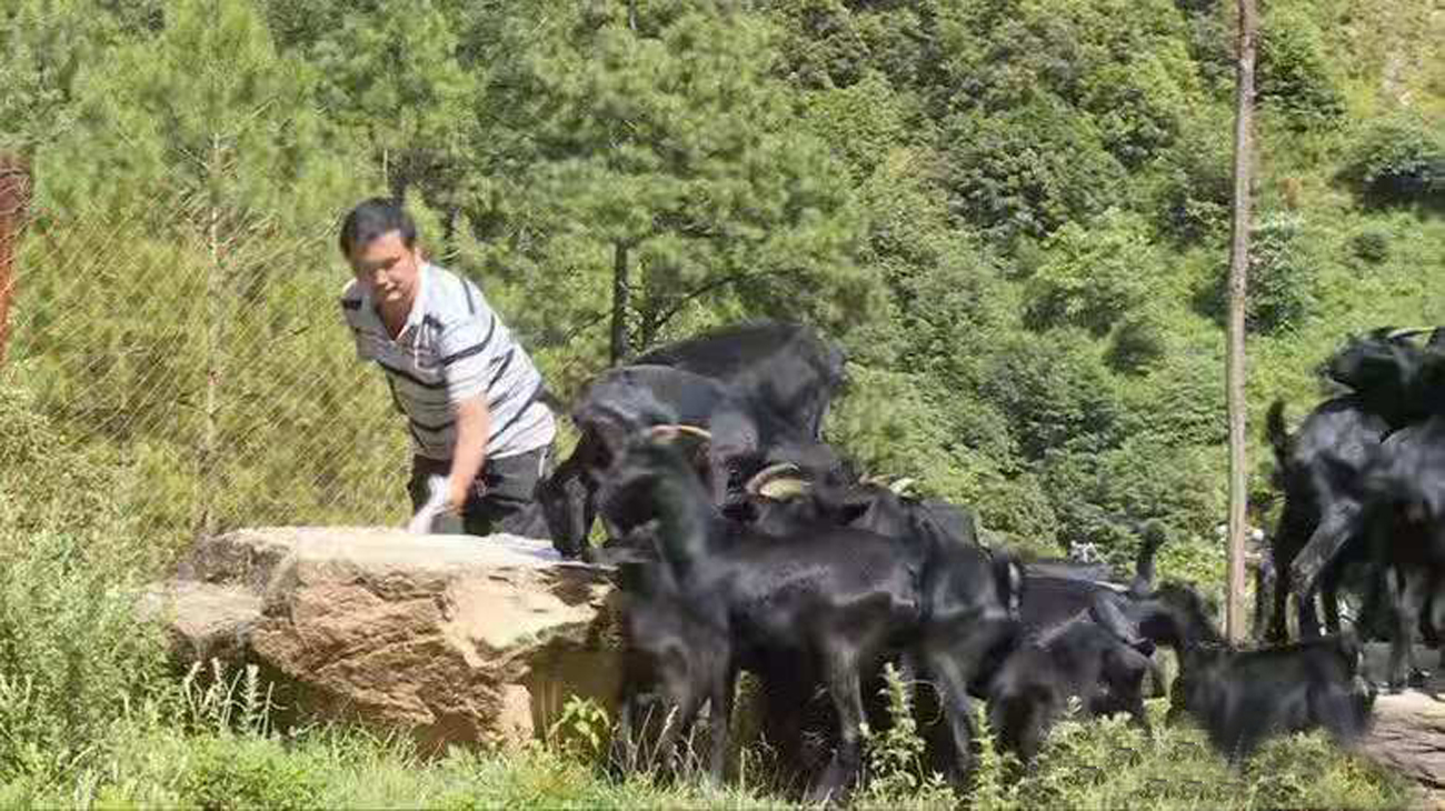 身殘志堅(jiān) 夫妻攜手共筑美好生活