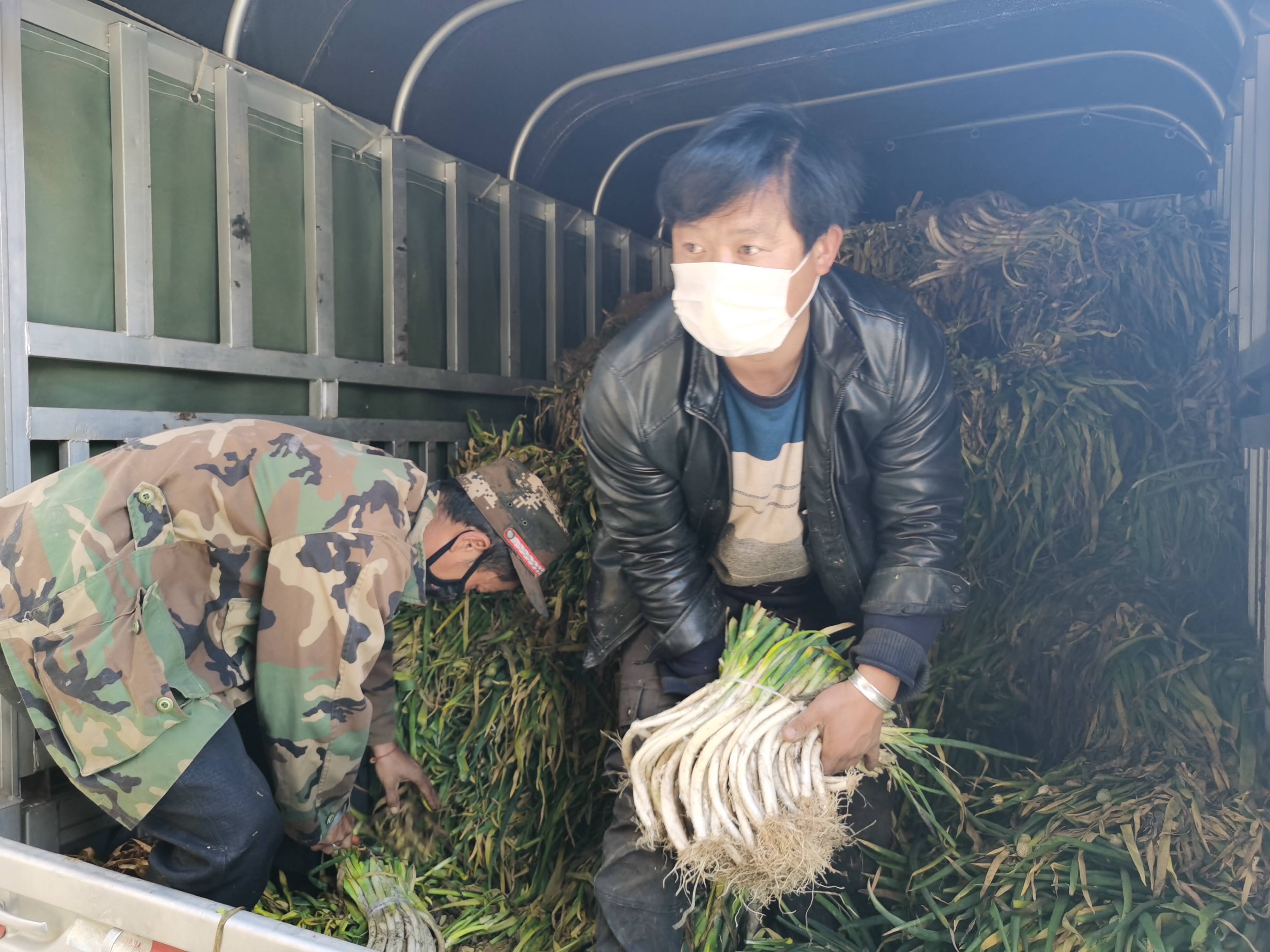 維西縣向德欽縣捐贈(zèng)14噸蔬菜