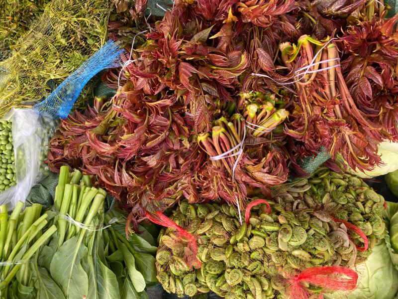 吃貨們有福了，?維西山茅野菜扎堆上市