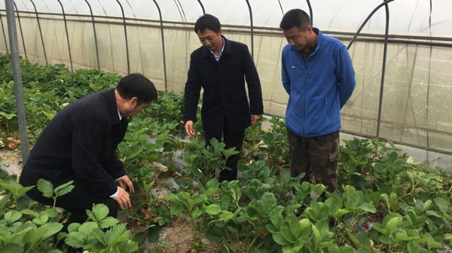 中國建設(shè)銀行建行駐迪慶分行紀(jì)檢組開展專項(xiàng)督查工作