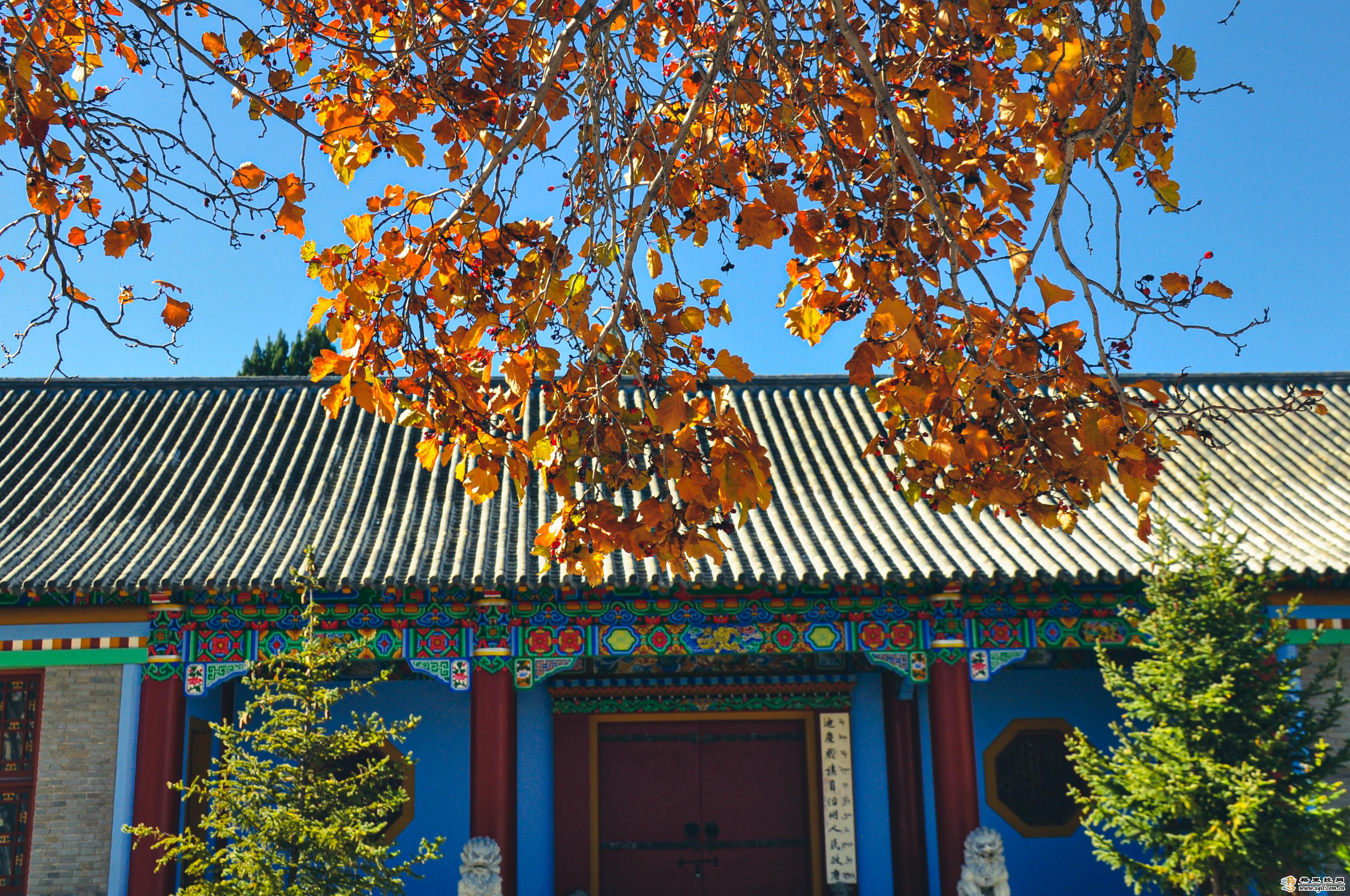 香格里拉又一秋冬打卡地，千萬別錯過