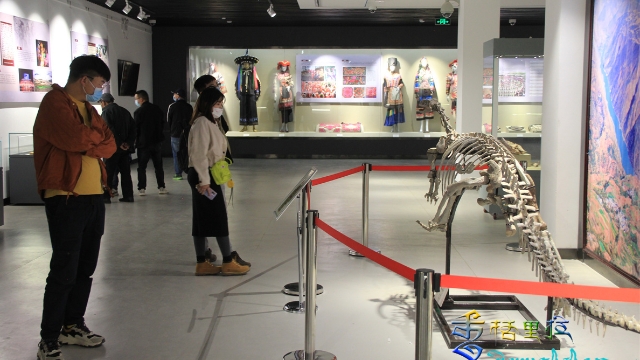 迪慶州多個(gè)展覽免費(fèi)對(duì)外開放