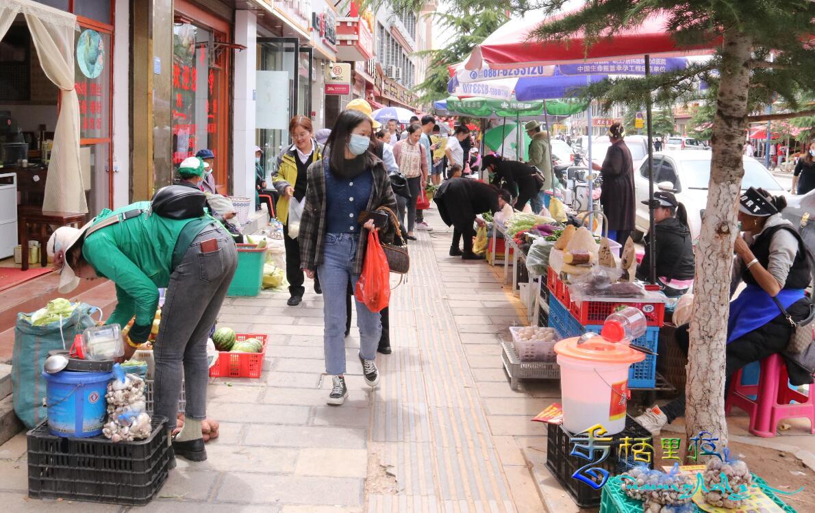 香格里拉時(shí)蔬和菌類搶鮮上市，備受市民青睞