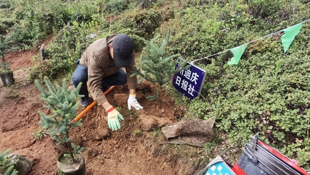 迪慶日?qǐng)?bào)社參加秋季義務(wù)植樹(shù)