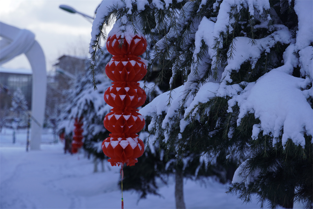 【網(wǎng)絡(luò)中國節(jié)?春節(jié)】瑞雪兆豐年！迪慶下雪了！