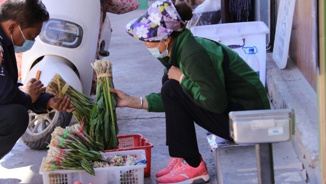 @吃貨們！香格里拉野菜上市了！快來(lái)嘗鮮
