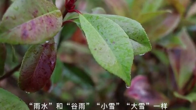 二十四節(jié)氣 | 迪慶日報(bào)社藏語主播說節(jié)氣:雨水
