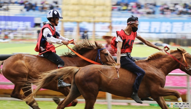 香格里拉端午賽馬節(jié)賽馬競(jìng)賽開賽首日 150名騎手角逐6枚金牌
