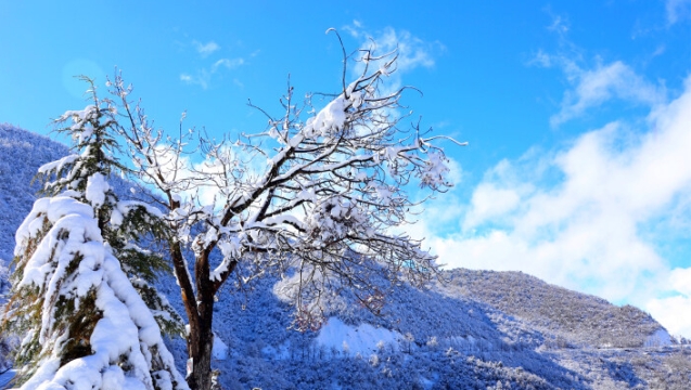 雪后德欽變身童話(huà)世界