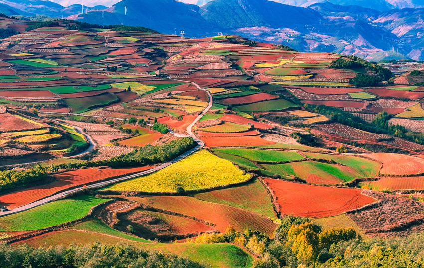 2云南東川紅土地美景。葉志剛攝.jpg?x-oss-process=style/w10