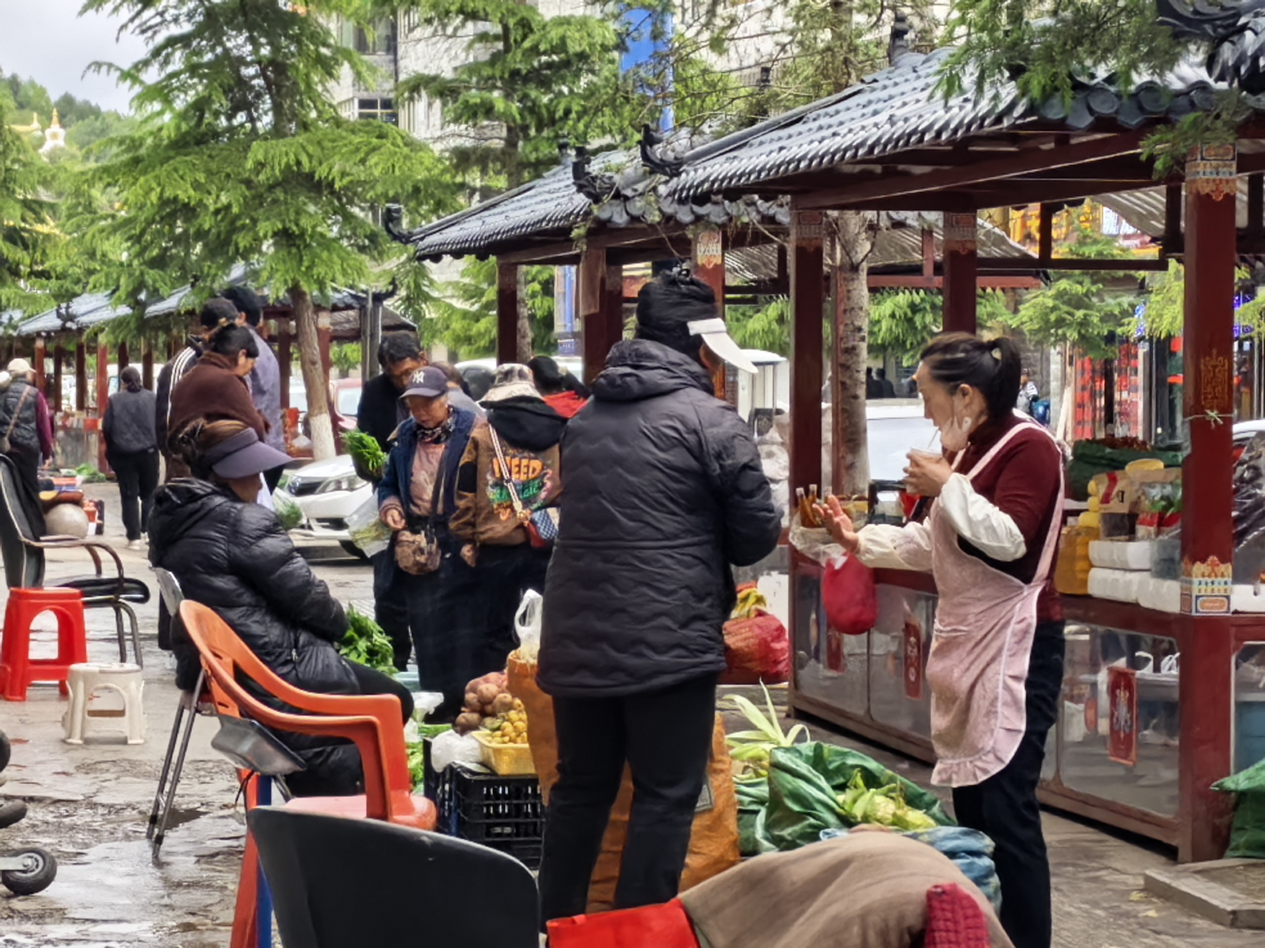 香格里拉山野珍饈搶“鮮”上市！