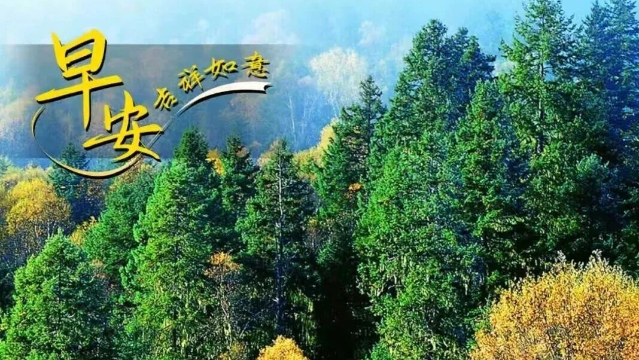 早安世界的香格里拉丨普達(dá)措